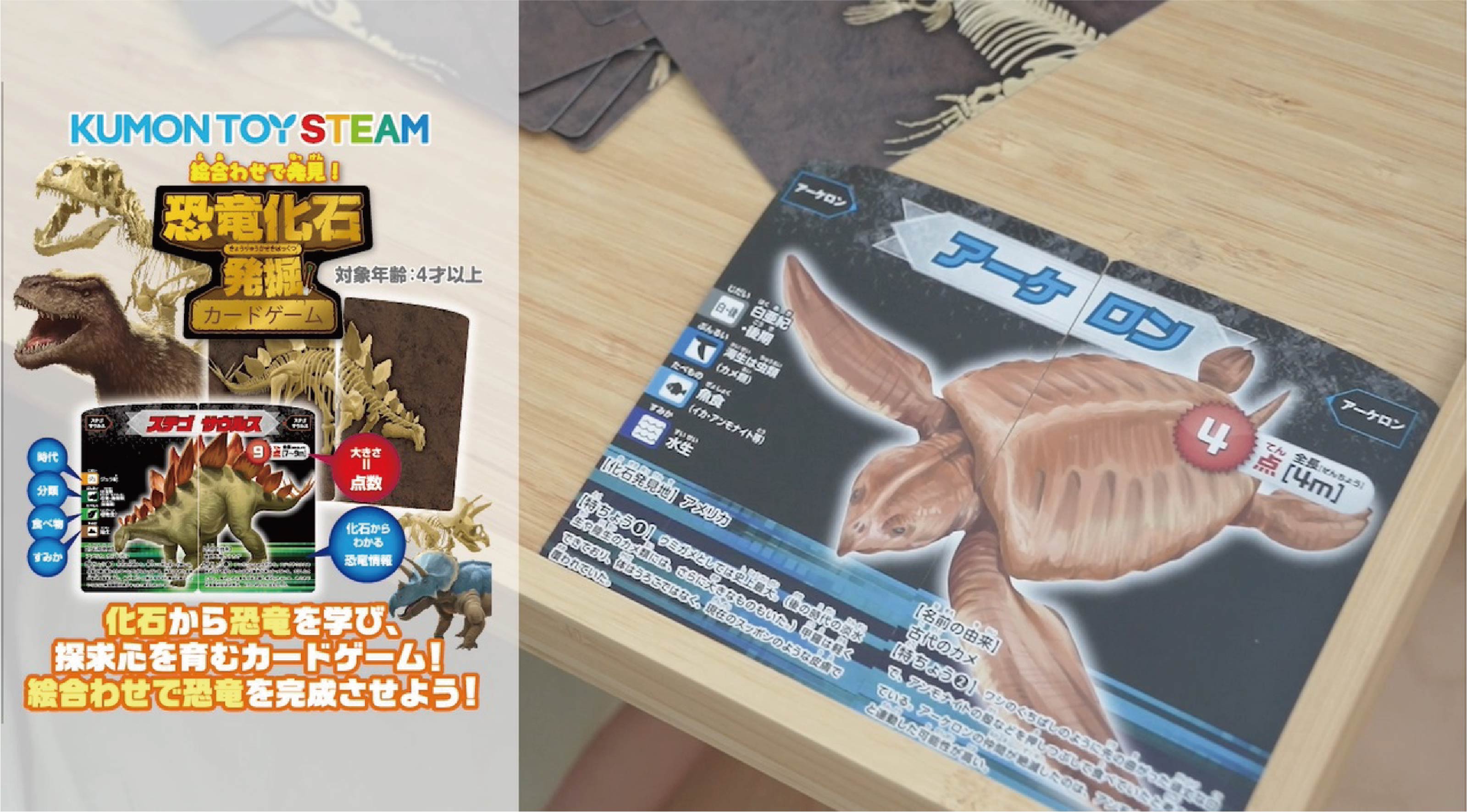 Amazon.co.jp: Kumon Publishing KUMON TOY STEAM Dinosaur Fossil